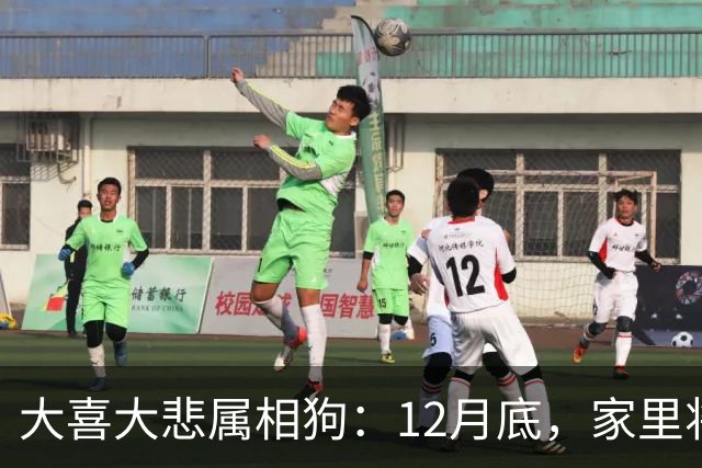 大喜大悲属相狗：12月底，家里将发生5件大事，提前准备