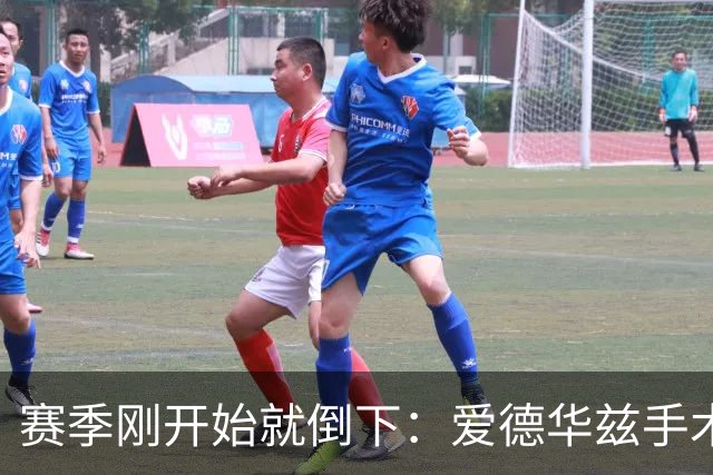 赛季刚开始就倒下:爱德华兹手术,雷霆两将同日重伤